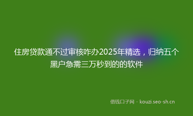 住房贷款通不过审核咋办2025年精选，归纳五个黑户急需三万秒到的的软件