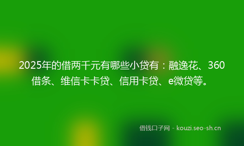 2025年的借两千元有哪些小贷有：融逸花、360借条、维信卡卡贷、信用卡贷、e微贷等。