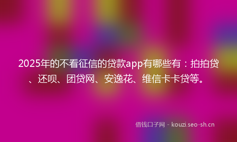 2025年的不看征信的贷款app有哪些有：拍拍贷、还呗、团贷网、安逸花、维信卡卡贷等。