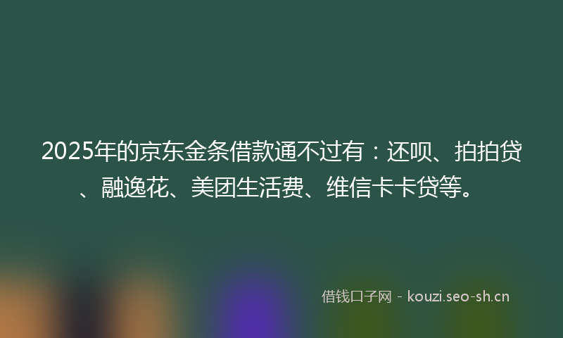 2025年的京东金条借款通不过有：还呗、拍拍贷、融逸花、美团生活费、维信卡卡贷等。