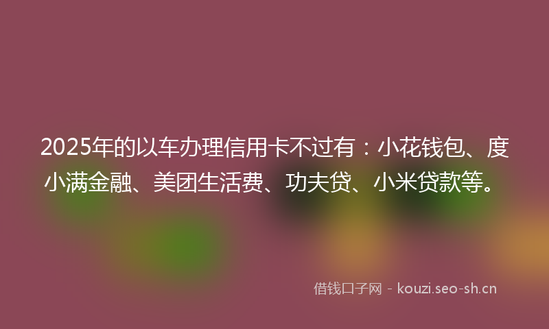 2025年的以车办理信用卡不过有:小花钱包、度小满金融、美团生活费、功夫贷、小米贷款等。