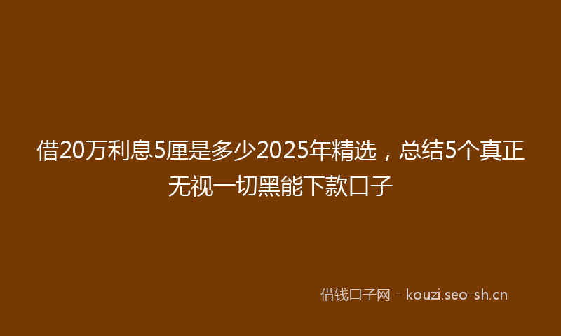 借20万利息5厘是多少2025年精选，总结5个真正无视一切黑能下款口子