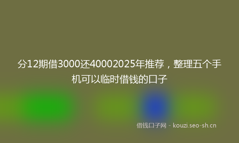 分12期借3000还40002025年推荐,整理五个手机可以临时借钱的口子