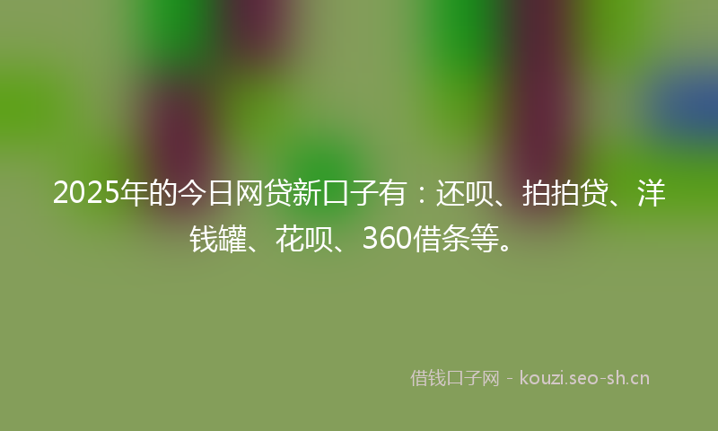 2025年的今日网贷新口子有：还呗、拍拍贷、洋钱罐、花呗、360借条等。