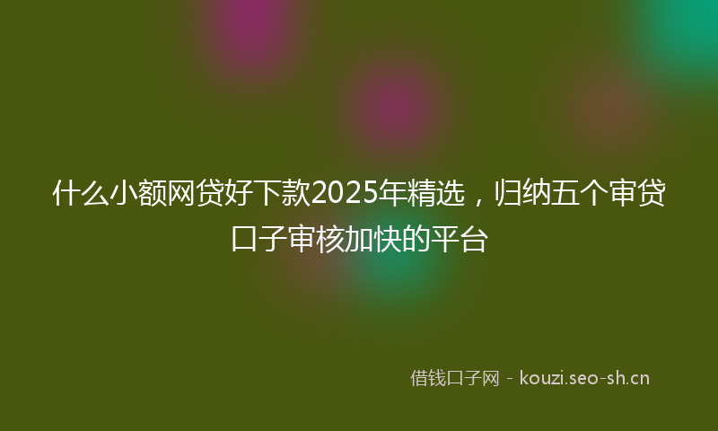 什么小额网贷好下款2025年精选，归纳五个审贷口子审核加快的平台