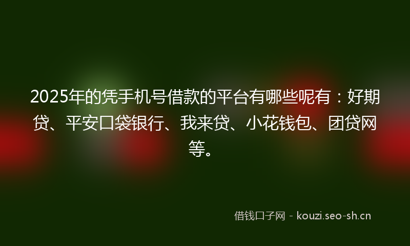 2025年的凭手机号借款的平台有哪些呢有:好期贷、平安口袋银行、我来贷、小花钱包、团贷网等。