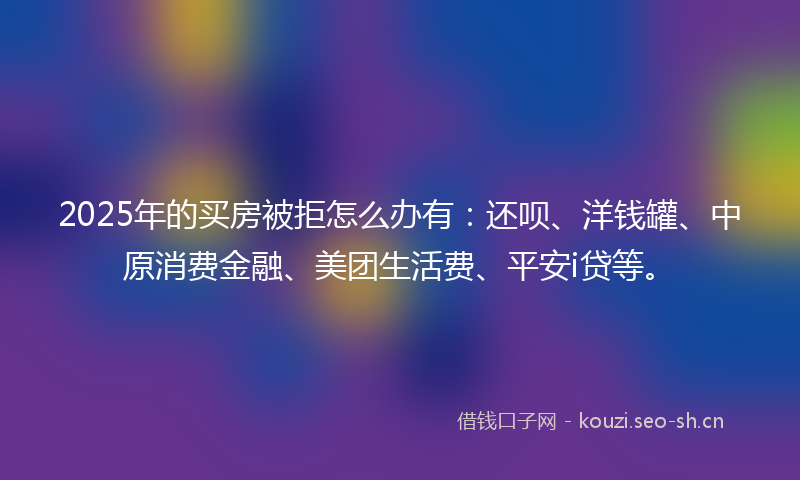 2025年的买房被拒怎么办有：还呗、洋钱罐、中原消费金融、美团生活费、平安i贷等。