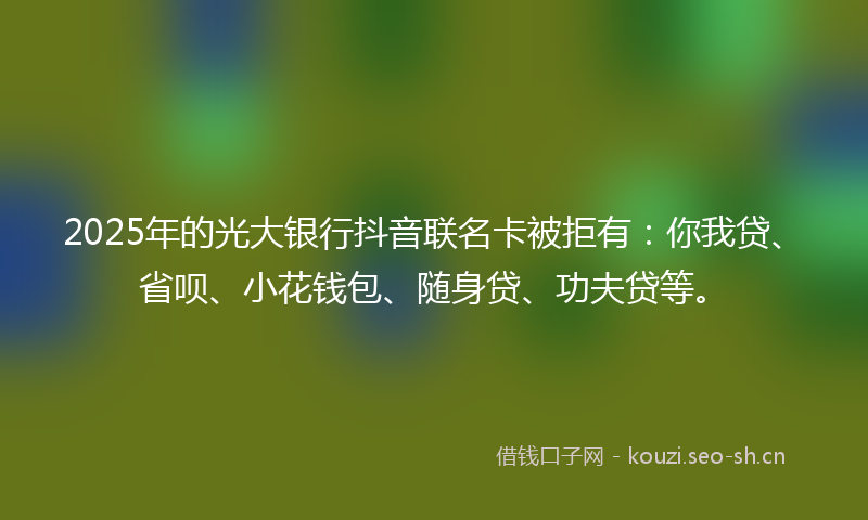 2025年的光大银行抖音联名卡被拒有：你我贷、省呗、小花钱包、随身贷、功夫贷等。