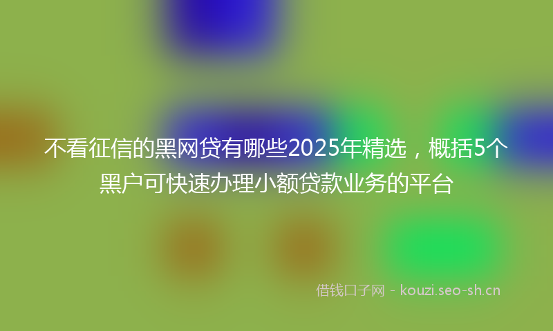 不看征信的黑网贷有哪些2025年精选，概括5个黑户可快速办理小额贷款业务的平台