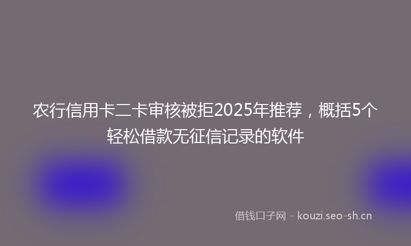 农行信用卡二卡审核被拒2025年推荐，概括5个轻松借款无征信记录的软件