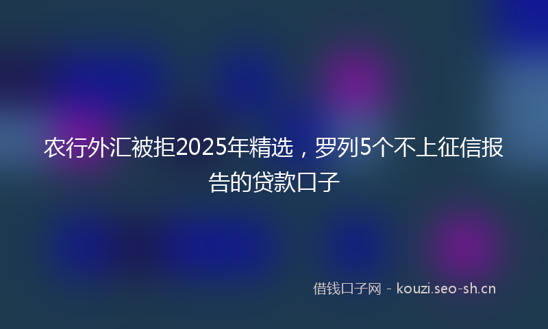 农行外汇被拒2025年精选，罗列5个不上征信报告的贷款口子