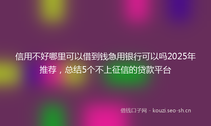 信用不好哪里可以借到钱急用银行可以吗2025年推荐，总结5个不上征信的贷款平台
