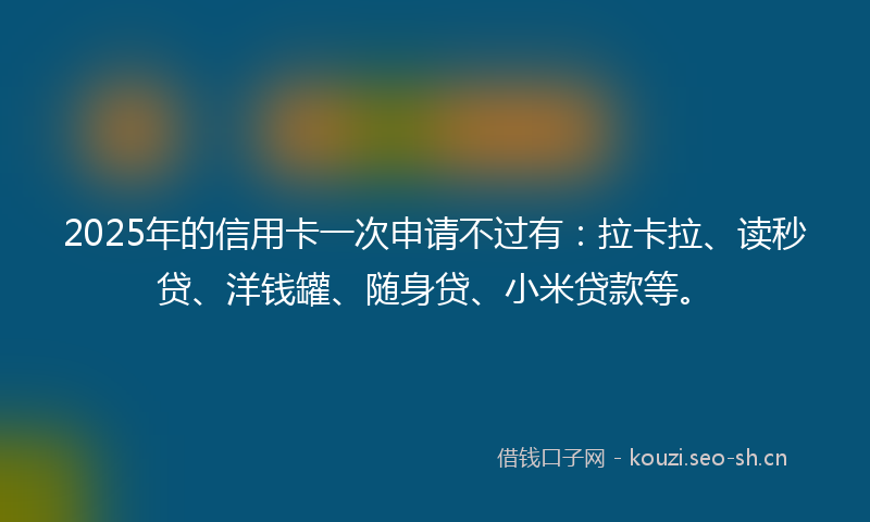 2025年的信用卡一次申请不过有：拉卡拉、读秒贷、洋钱罐、随身贷、小米贷款等。