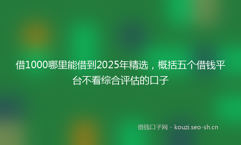借1000哪里能借到2025年精选，概括五个借钱平台不看综合评估的口子