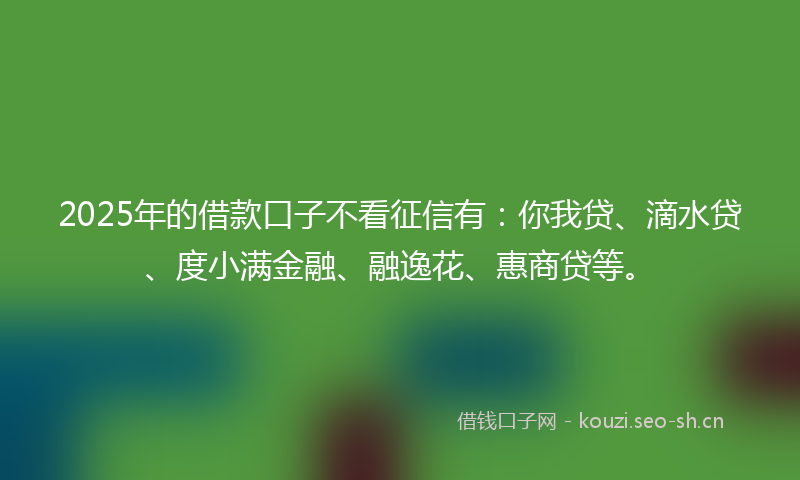 2025年的借款口子不看征信有：你我贷、滴水贷、度小满金融、融逸花、惠商贷等。