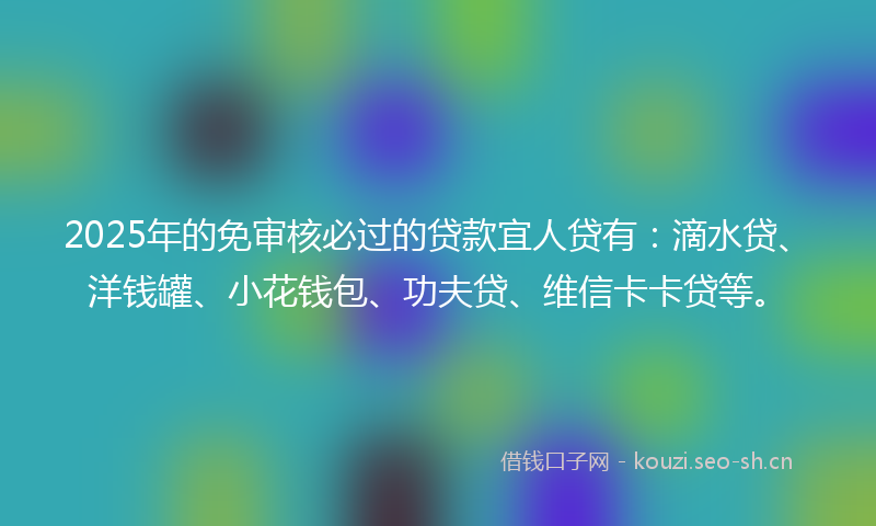 2025年的免审核必过的贷款宜人贷有：滴水贷、洋钱罐、小花钱包、功夫贷、维信卡卡贷等。