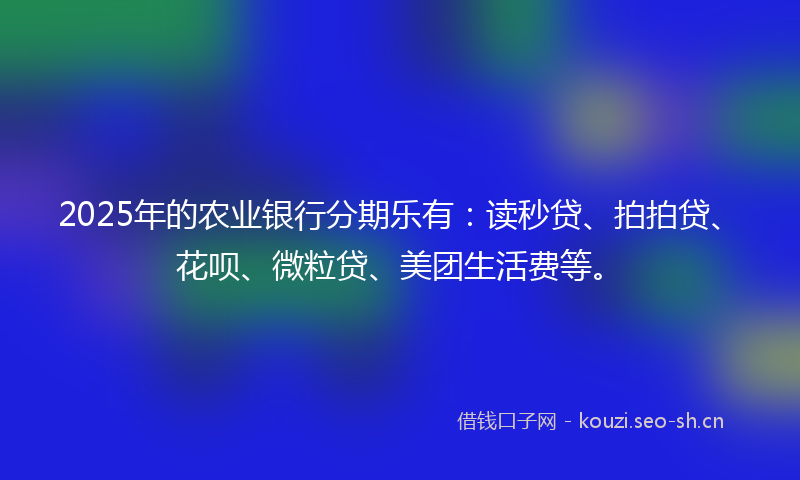 2025年的农业银行分期乐有：读秒贷、拍拍贷、花呗、微粒贷、美团生活费等。