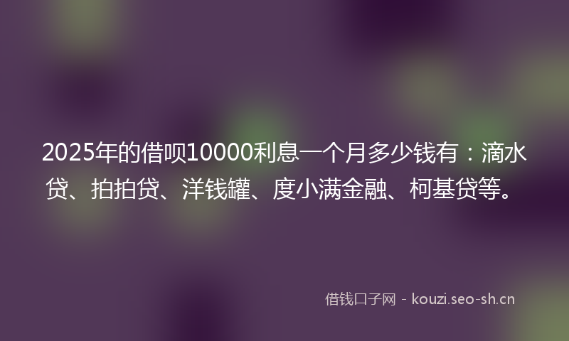 2025年的借呗10000利息一个月多少钱有：滴水贷、拍拍贷、洋钱罐、度小满金融、柯基贷等。