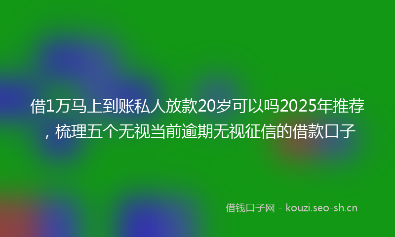 借1万马上到账私人放款20岁可以吗2025年推荐，梳理五个无视当前逾期无视征信的借款口子