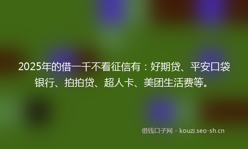 2025年的借一千不看征信有：好期贷、平安口袋银行、拍拍贷、超人卡、美团生活费等。