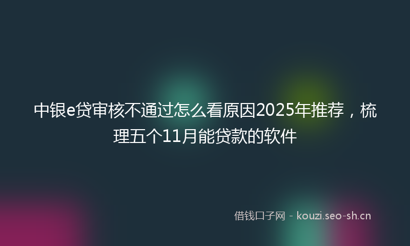 中银e贷审核不通过怎么看原因2025年推荐，梳理五个11月能贷款的软件