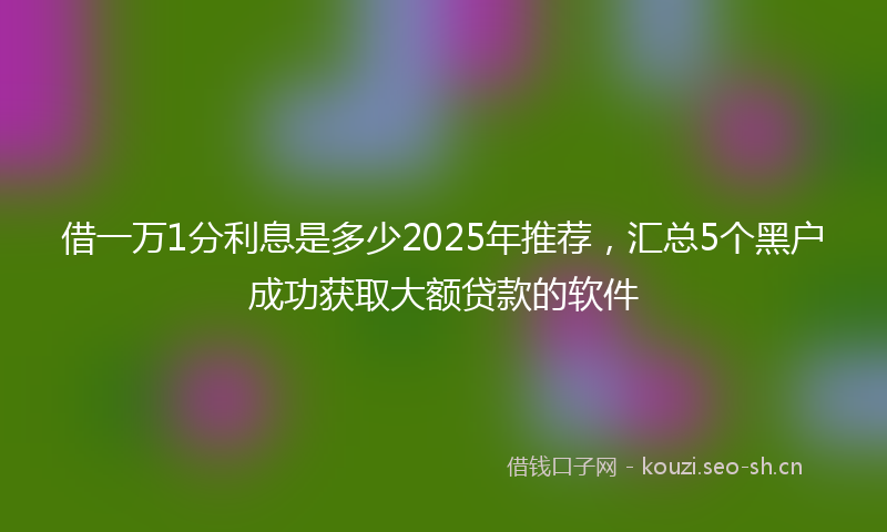 借一万1分利息是多少2025年推荐，汇总5个黑户成功获取大额贷款的软件