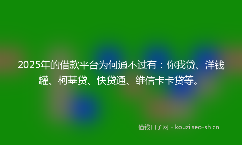 2025年的借款平台为何通不过有：你我贷、洋钱罐、柯基贷、快贷通、维信卡卡贷等。