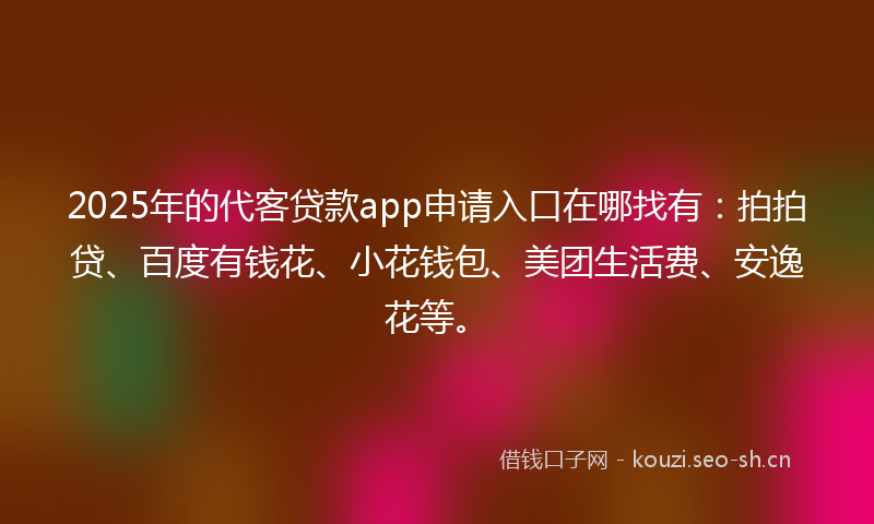 2025年的代客贷款app申请入口在哪找有：拍拍贷、百度有钱花、小花钱包、美团生活费、安逸花等。