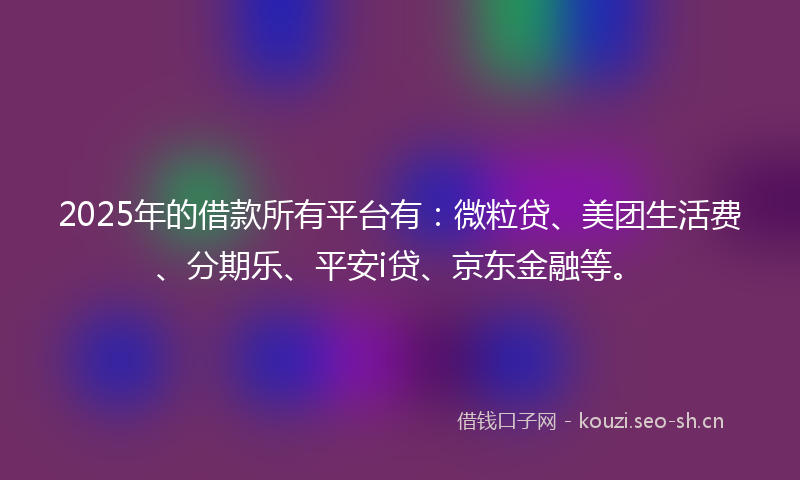 2025年的借款所有平台有：微粒贷、美团生活费、分期乐、平安i贷、京东金融等。