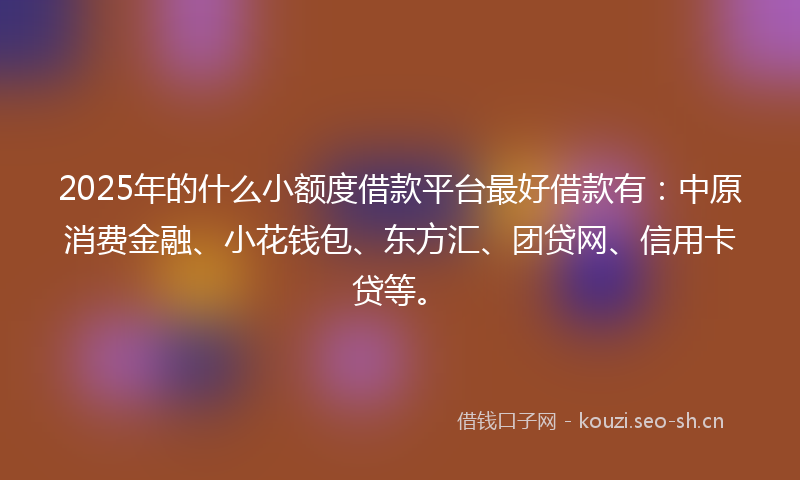2025年的什么小额度借款平台最好借款有：中原消费金融、小花钱包、东方汇、团贷网、信用卡贷等。