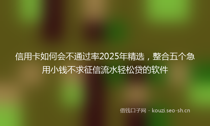 信用卡如何会不通过率2025年精选，整合五个急用小钱不求征信流水轻松贷的软件