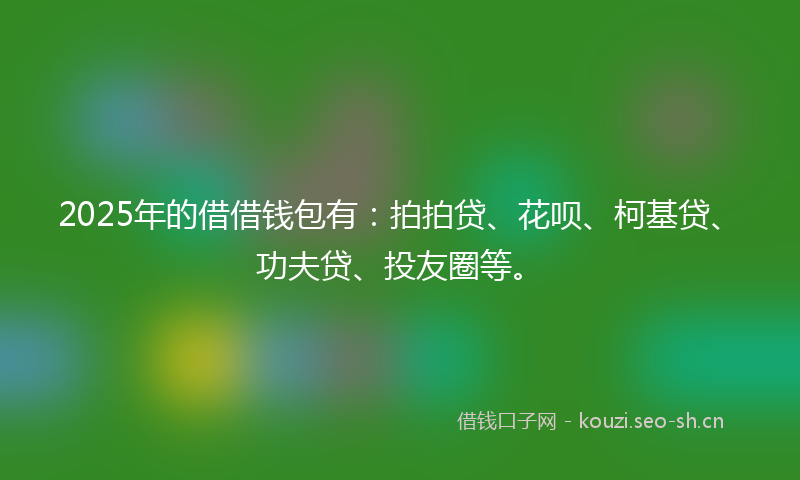 2025年的借借钱包有：拍拍贷、花呗、柯基贷、功夫贷、投友圈等。