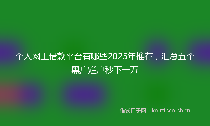 个人网上借款平台有哪些2025年推荐，汇总五个黑户烂户秒下一万