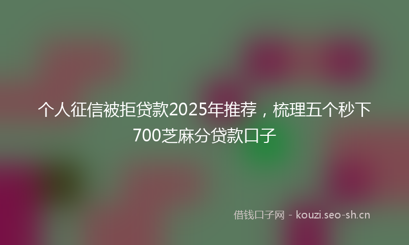 个人征信被拒贷款2025年推荐，梳理五个秒下700芝麻分贷款口子