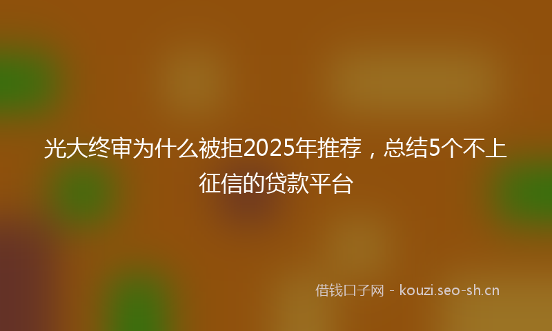 光大终审为什么被拒2025年推荐，总结5个不上征信的贷款平台