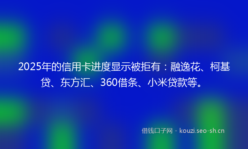 2025年的信用卡进度显示被拒有：融逸花、柯基贷、东方汇、360借条、小米贷款等。