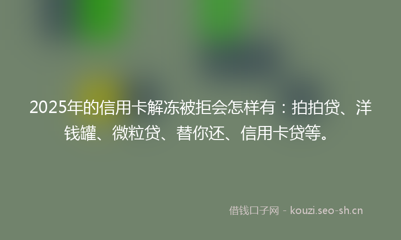2025年的信用卡解冻被拒会怎样有：拍拍贷、洋钱罐、微粒贷、替你还、信用卡贷等。
