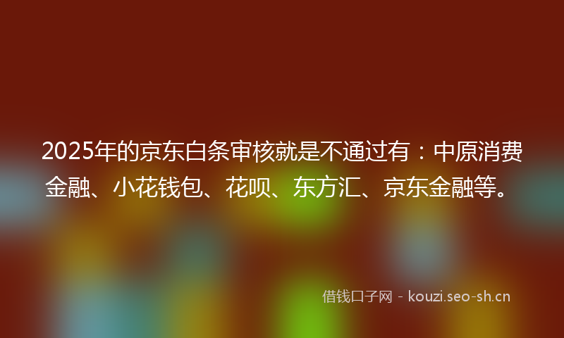 2025年的京东白条审核就是不通过有：中原消费金融、小花钱包、花呗、东方汇、京东金融等。