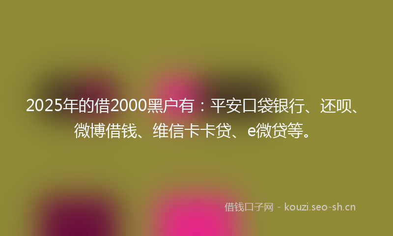 2025年的借2000黑户有：平安口袋银行、还呗、微博借钱、维信卡卡贷、e微贷等。