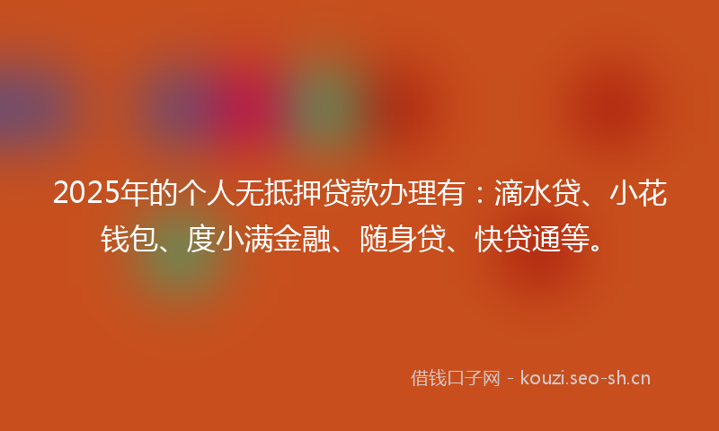 2025年的个人无抵押贷款办理有：滴水贷、小花钱包、度小满金融、随身贷、快贷通等。