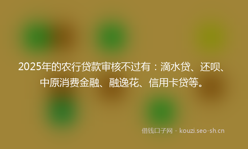 2025年的农行贷款审核不过有：滴水贷、还呗、中原消费金融、融逸花、信用卡贷等。
