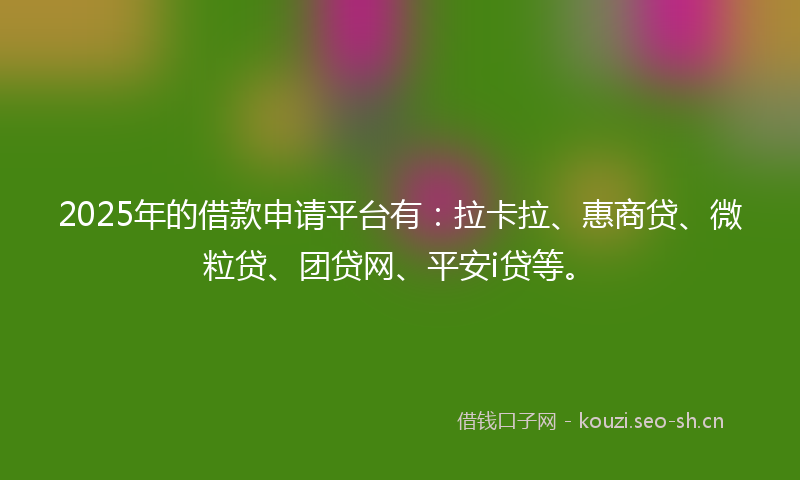 2025年的借款申请平台有：拉卡拉、惠商贷、微粒贷、团贷网、平安i贷等。