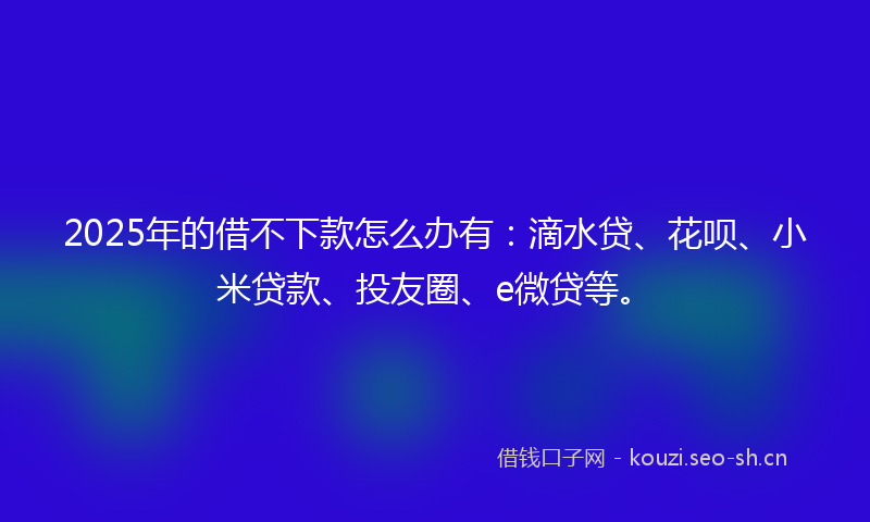 2025年的借不下款怎么办有：滴水贷、花呗、小米贷款、投友圈、e微贷等。
