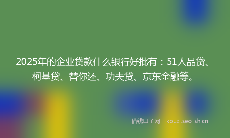 2025年的企业贷款什么银行好批有：51人品贷、柯基贷、替你还、功夫贷、京东金融等。