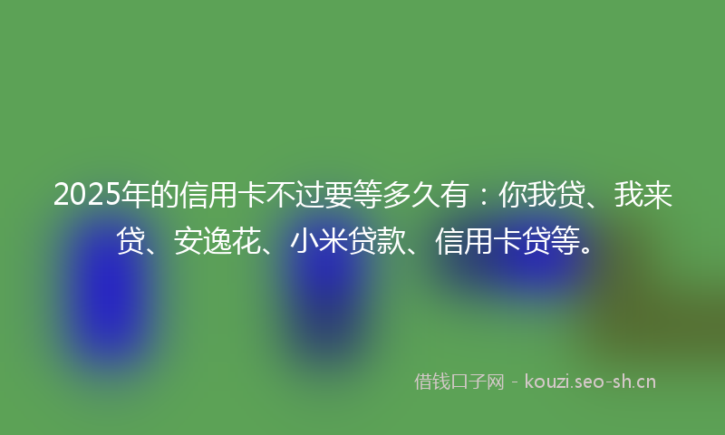 2025年的信用卡不过要等多久有：你我贷、我来贷、安逸花、小米贷款、信用卡贷等。