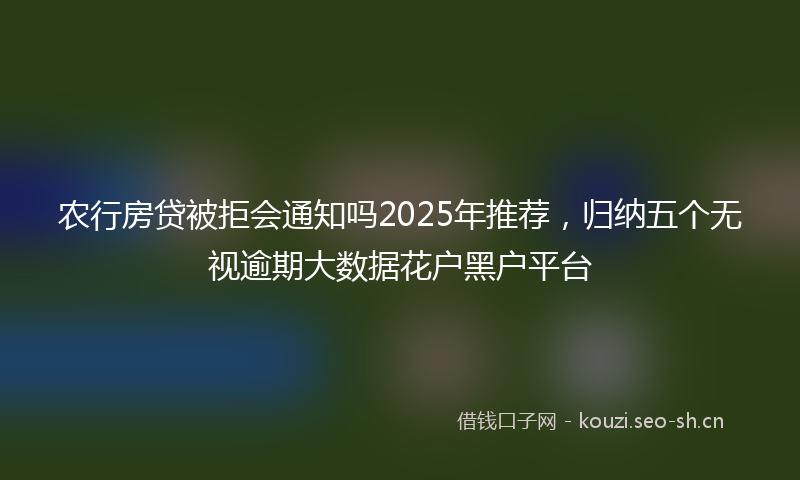 农行房贷被拒会通知吗2025年推荐，归纳五个无视逾期大数据花户黑户平台
