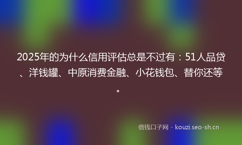 2025年的为什么信用评估总是不过有：51人品贷、洋钱罐、中原消费金融、小花钱包、替你还等。