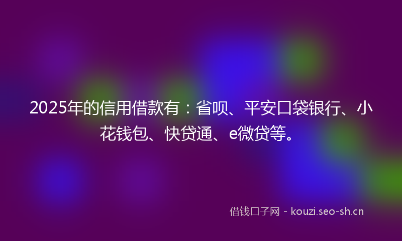 2025年的信用借款有：省呗、平安口袋银行、小花钱包、快贷通、e微贷等。