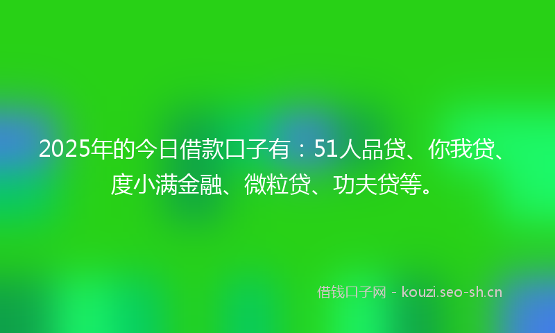 2025年的今日借款口子有：51人品贷、你我贷、度小满金融、微粒贷、功夫贷等。