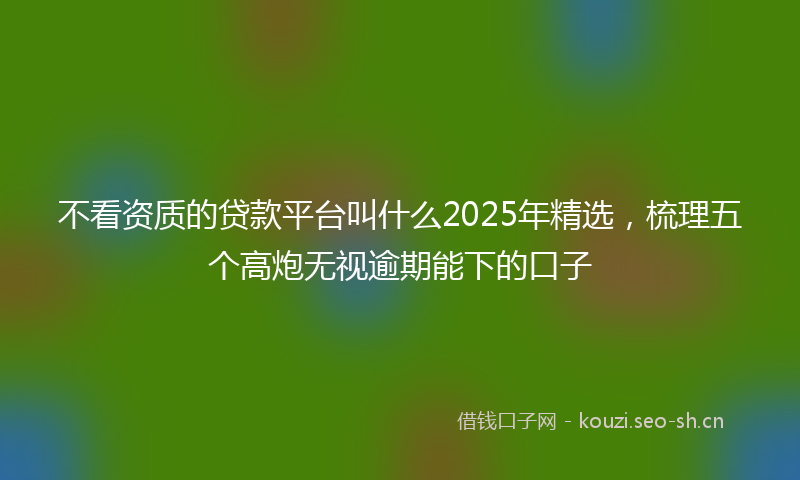 不看资质的贷款平台叫什么2025年精选，梳理五个高炮无视逾期能下的口子